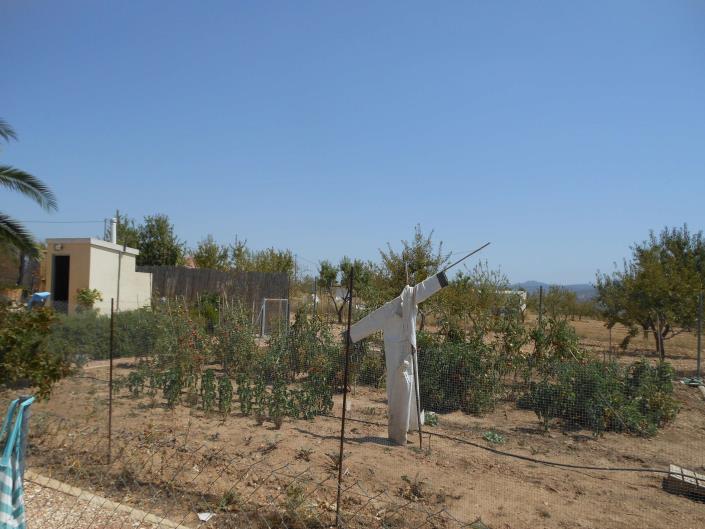 Image No.20-Villa de 3 chambres à vendre à Pinoso