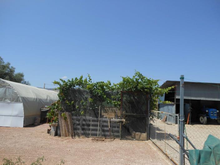 Image No.23-Villa de 3 chambres à vendre à Pinoso