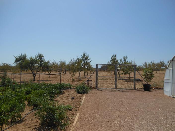 Image No.25-Villa de 3 chambres à vendre à Pinoso