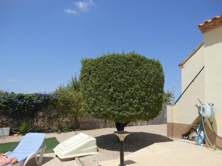 Image No.27-Villa de 3 chambres à vendre à Pinoso