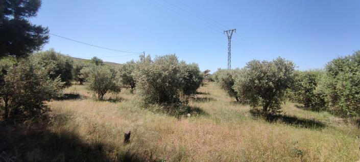 Image No.16-4 Bed Country House for sale