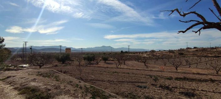 Image No.12-5 Bed Country House for sale