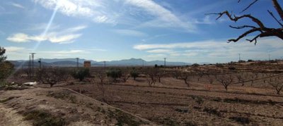 4330-country-house-for-sale-in-jumilla-150432