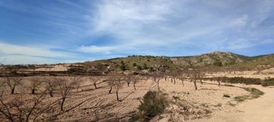 4330-country-house-for-sale-in-jumilla-150428