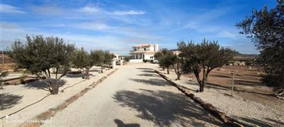 10936-villa-for-sale-in-pinoso-561363-large