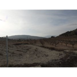 11598-cave-house-for-sale-in-encebras-598250-