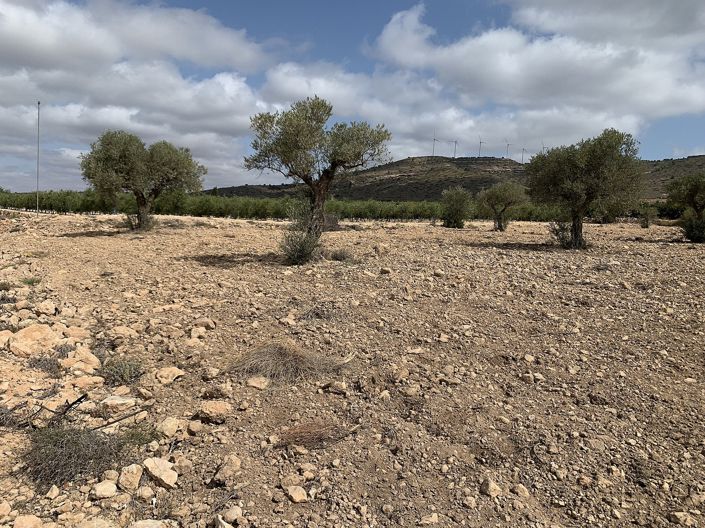 Image No.40-4 Bed Country House for sale