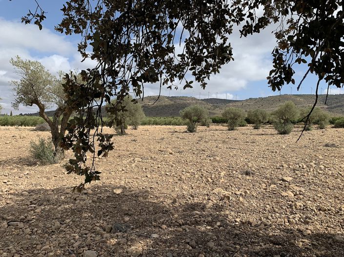 Image No.42-4 Bed Country House for sale