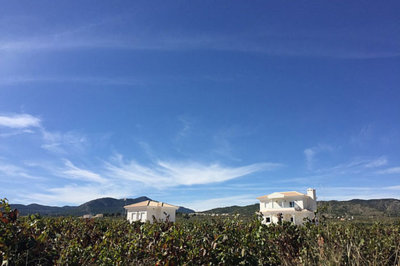 10271-villa-for-sale-in-pinoso-482712-large