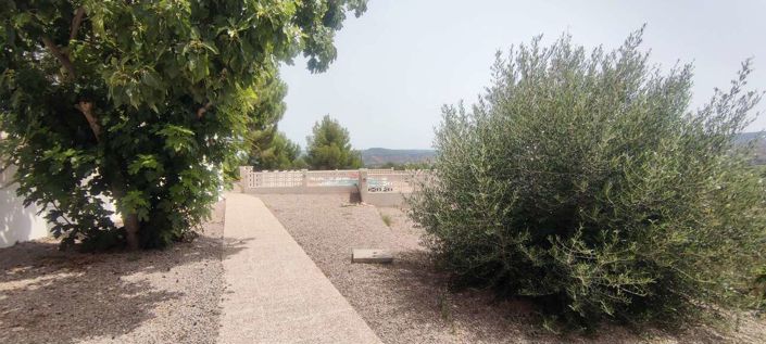 Image No.16-9 Bed Commercial for sale