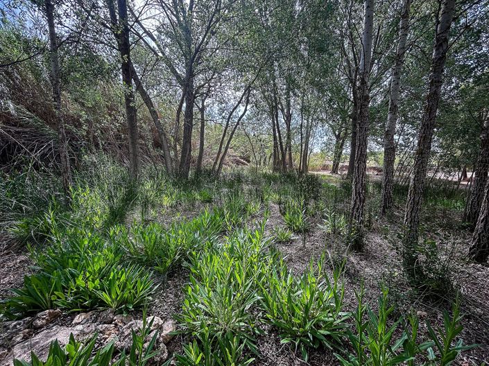 Image No.10-Country House for sale