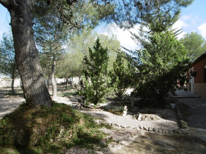 Image No.19-Villa de 5 chambres à vendre à Yecla