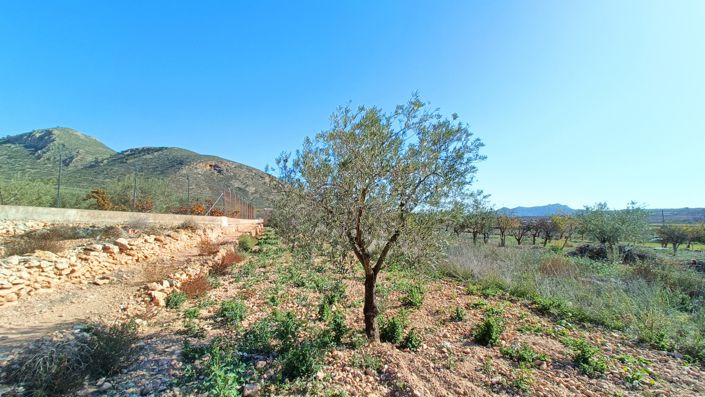 Image No.33-Maison de ville de 3 chambres à vendre à Barbarroja 