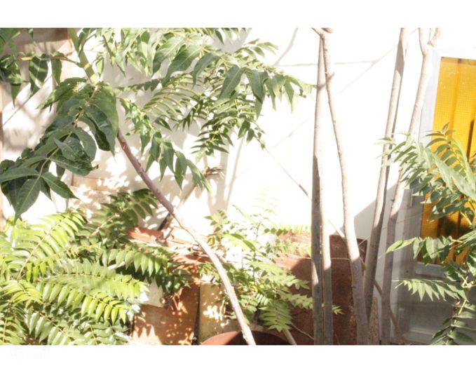 Image No.37-4 Bed Villa for sale