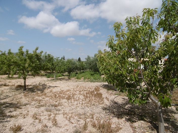 Image No.3-4 Bed Villa for sale