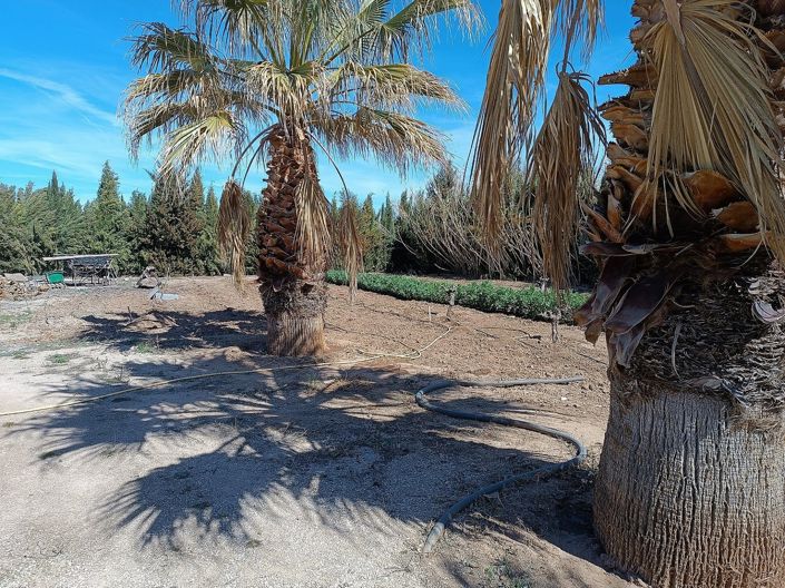 Image No.16-4 Bed Villa for sale