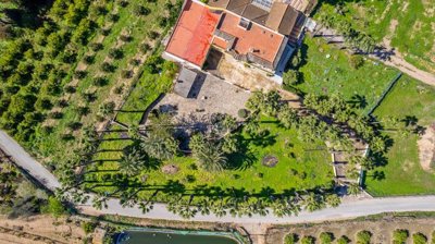 villa-for-sale-in-jacarilla-es500-176376-1