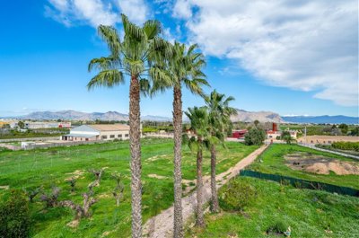 villa-for-sale-in-jacarilla-es500-176376-11