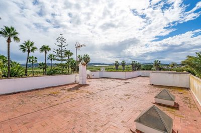 villa-for-sale-in-jacarilla-es500-176376-12