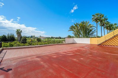 villa-for-sale-in-jacarilla-es500-176376-14