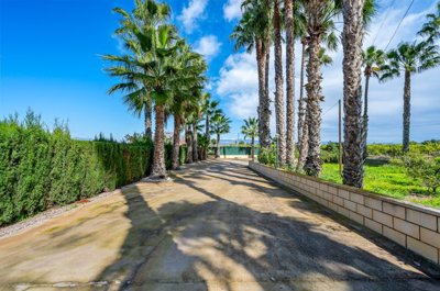 villa-for-sale-in-jacarilla-es500-176376-15