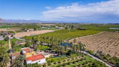 villa-for-sale-in-jacarilla-es500-176376-9