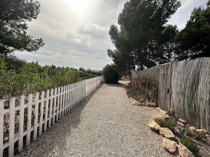 Image No.48-Commercial de 3 chambres à vendre à Pinoso