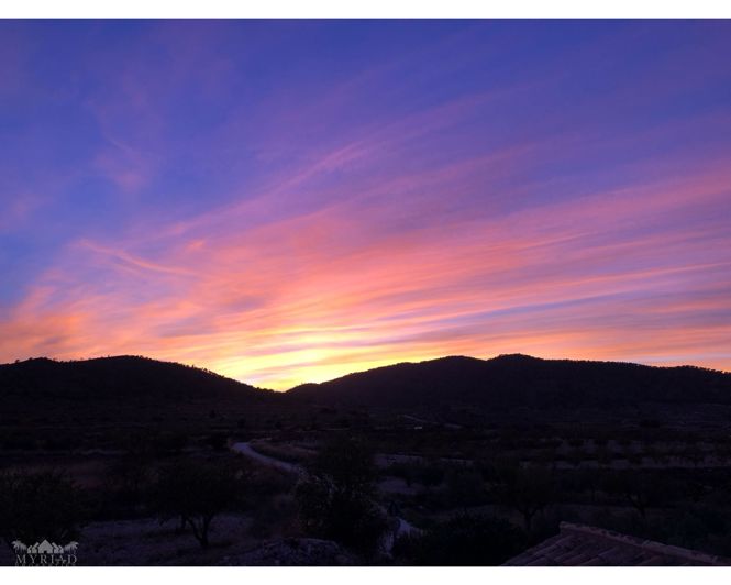 Image No.48-5 Bed Country House for sale