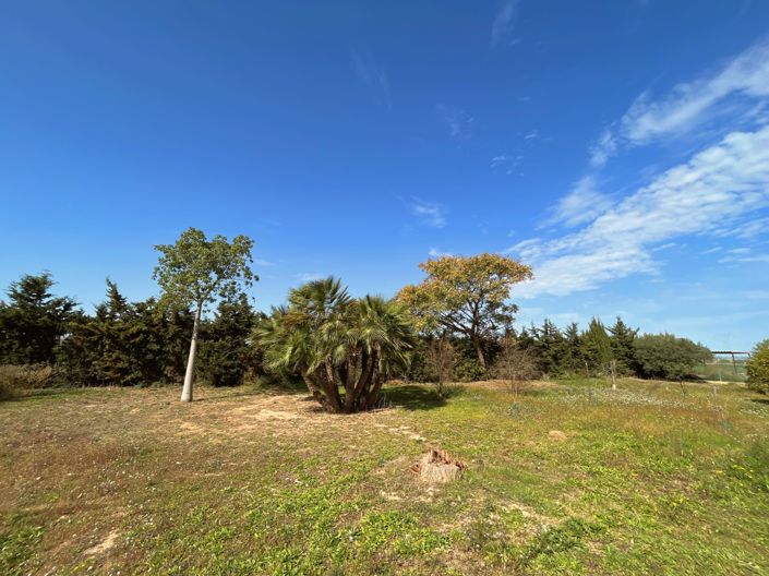 Image No.20-6 Bed Finca for sale