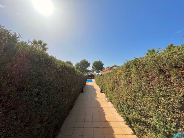 Image No.24-6 Bed Finca for sale