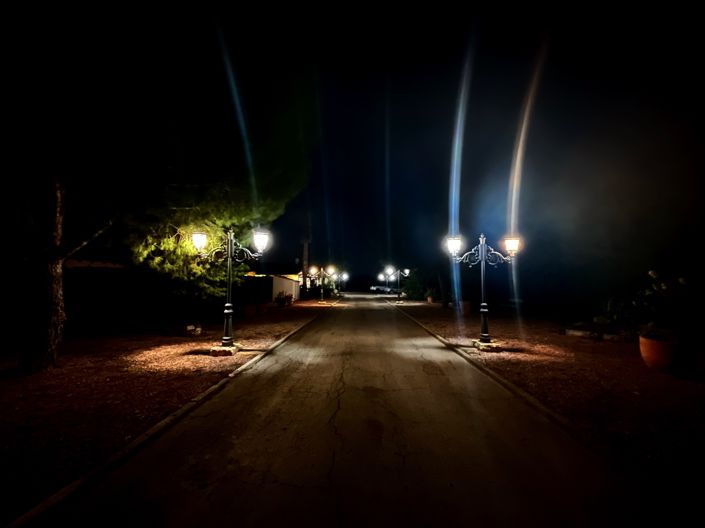 Image No.34-6 Bed Finca for sale