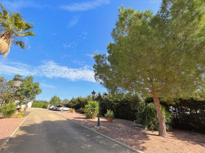 Image No.35-6 Bed Finca for sale