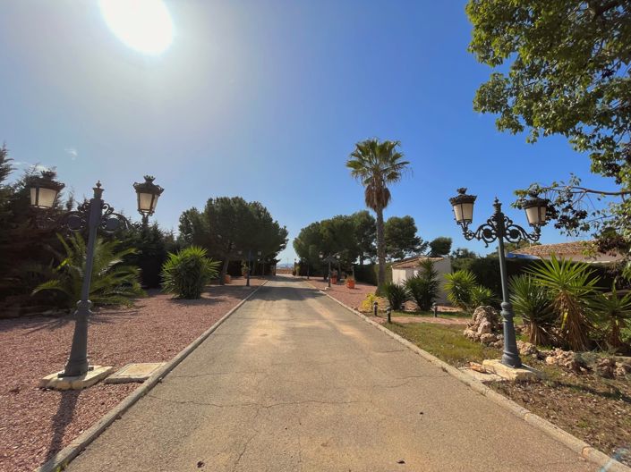 Image No.41-Finca de 6 chambres à vendre à Los Alcázares
