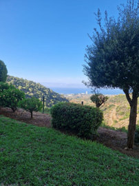 9-467d0cee5b725f3ef65f102a0c2e69c0