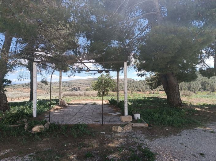 Image No.3-6 Bed Country House for sale