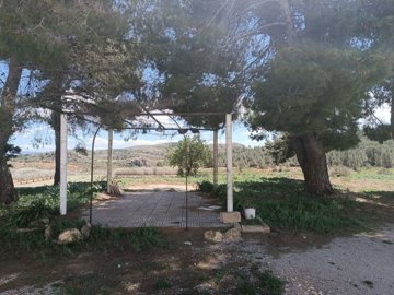 wwhatsapp-image-2025-04-16-at-170808-1-