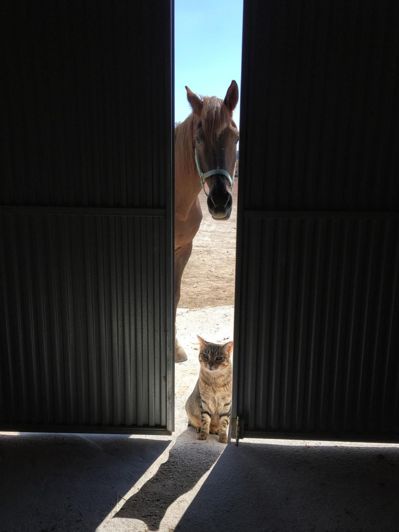 Image No.27-3 Bed Villa for sale