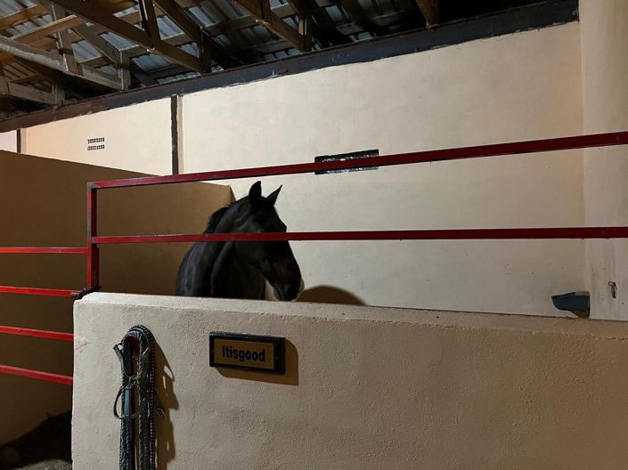 Image No.30-Villa de 3 chambres à vendre à Torre del Rico