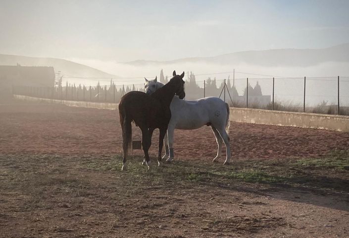 Image No.35-3 Bed Villa for sale