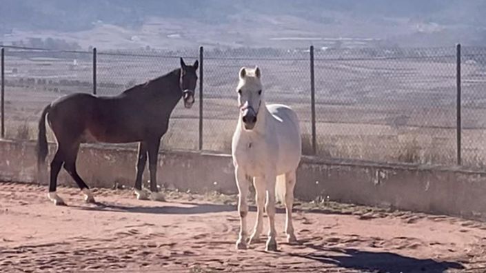 Image No.38-Villa de 3 chambres à vendre à Torre del Rico