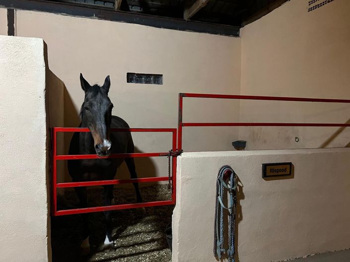 Image No.41-Villa de 3 chambres à vendre à Torre del Rico