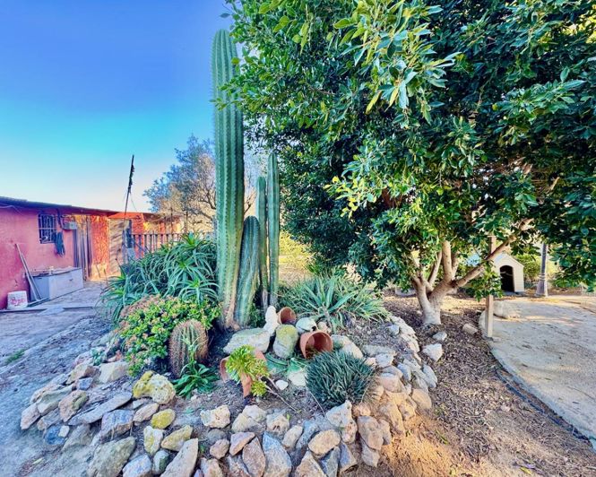 Image No.27-4 Bed Finca for sale