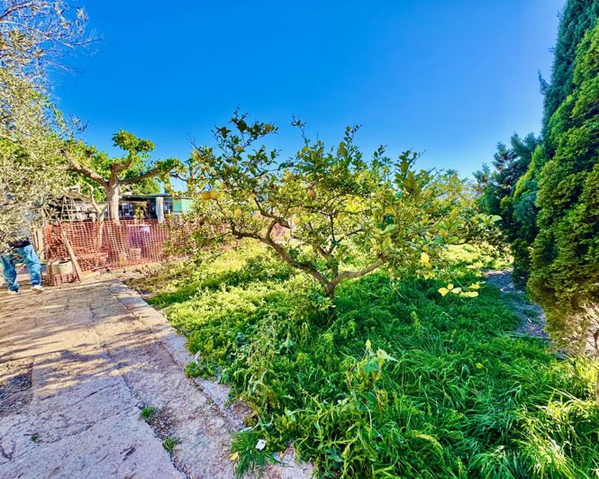 Image No.31-4 Bed Finca for sale