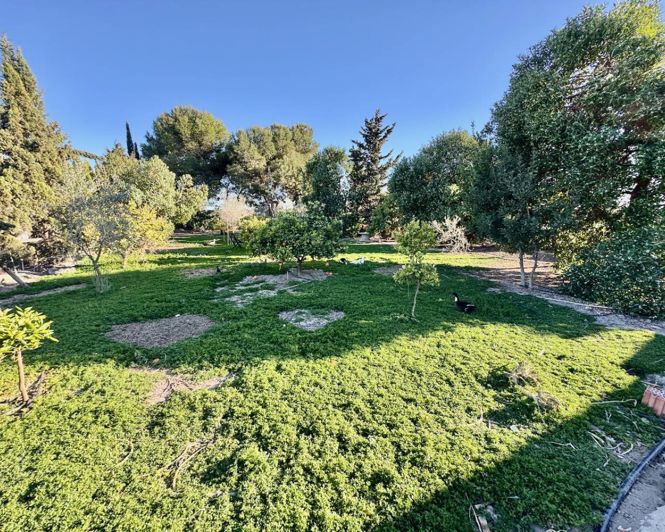 Image No.34-4 Bed Finca for sale