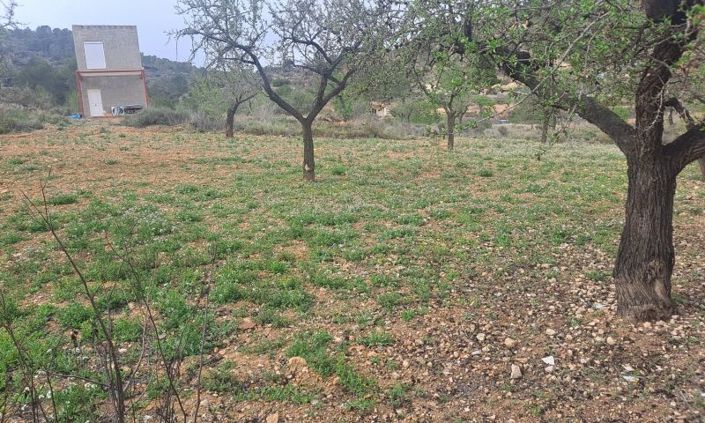 Image No.20-3 Bed Country House for sale