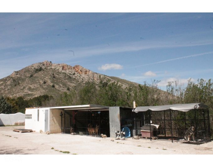 Image No.4-3 Bed Country House for sale