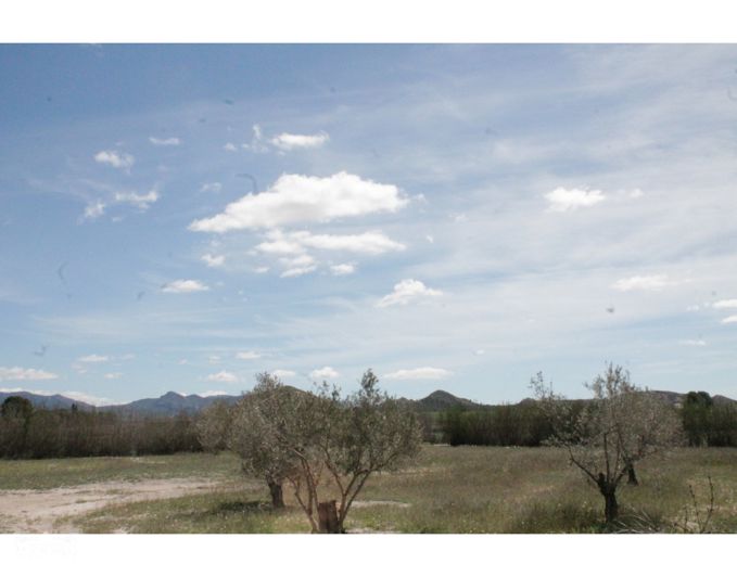 Image No.5-3 Bed Country House for sale