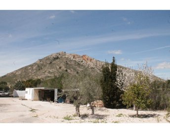 5964img8358