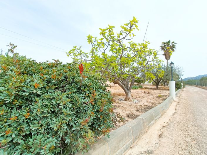 Image No.5-4 Bed Villa for sale