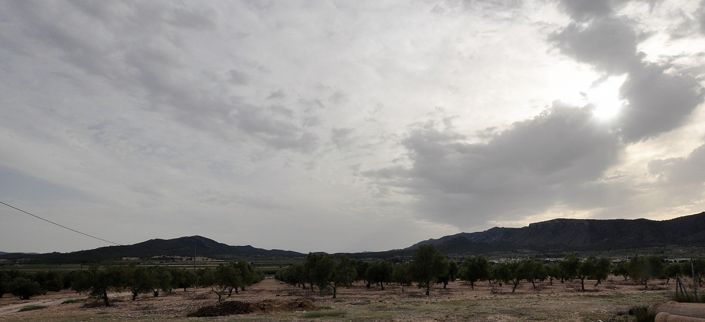 Image No.10-Maison de campagne de 3 chambres à vendre à Salinas